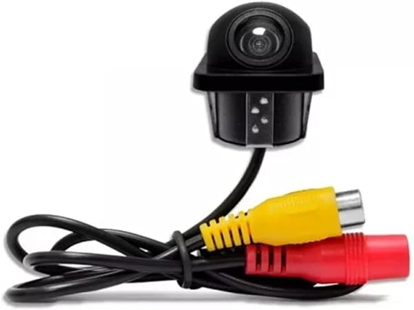 Camera Re Tartaruga JR8