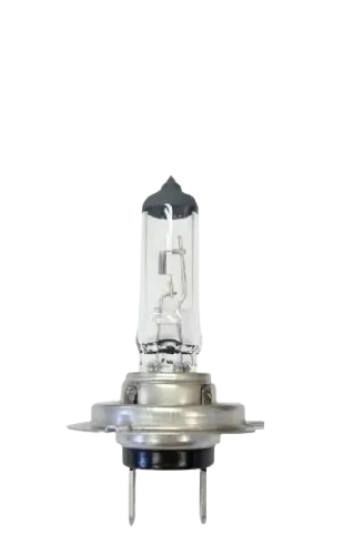 Lampada Comum Cinoy H7
